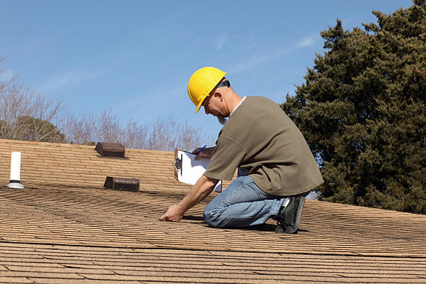 Best Roof Ventilation Installation  in Pineland, TX